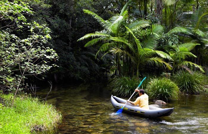 Vrei o metodă garantat eficientă pentru a cunoaște pădurea tropicală? Pornește-o frumușel la pas cu caiacul prin Tropicele Umede ale Queenslandului